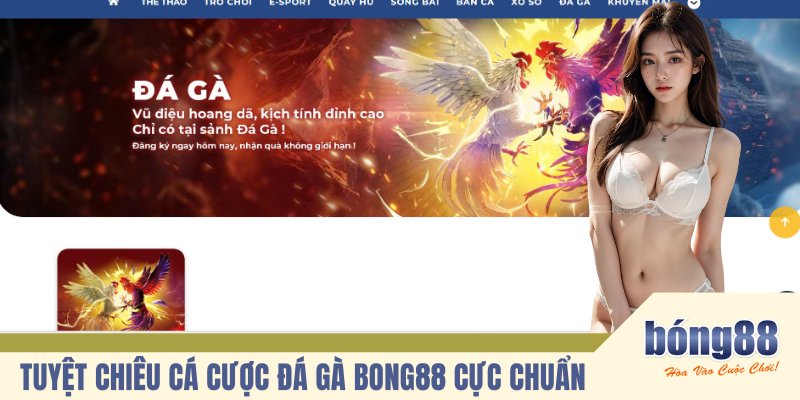 Tuyệt chiêu cá cược đá gà BONG88 cực chuẩn